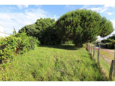 Acheter Terrain Saint-georges-d'oleron Charente maritime