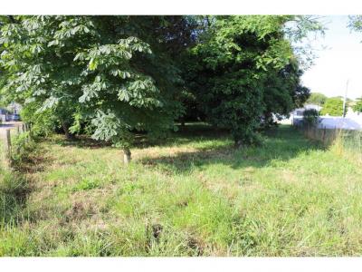 Acheter Terrain Saint-georges-d'oleron 294000 euros