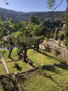 Acheter Prestige 230 m2 Grasse