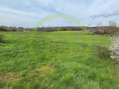Annonce Vente Terrain Velleminfroy 70