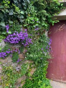 For sale Quimperle 4 rooms 70 m2 Finistere (29300) photo 4