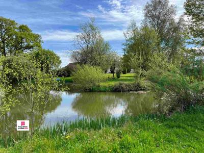 For sale Neauphe-sous-essai 10 rooms 220 m2 Orne (61500) photo 3