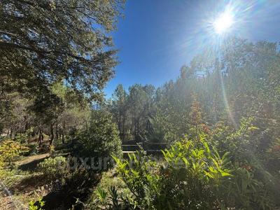 Acheter Prestige Mimet 546000 euros