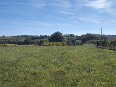 For sale Capian 1201 m2 Gironde (33550) photo 0