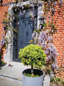 Acheter Maison Dorengt Aisne