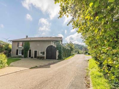 Annonce Vente Chambre d'hotes Lidrezing 57