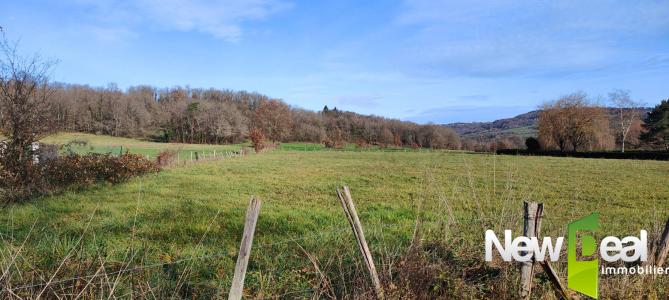 Annonce Vente Terrain Saint-viance 19