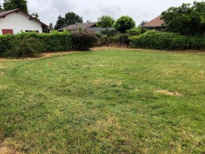 For sale Mios 4 rooms 80 m2 Gironde (33380) photo 0