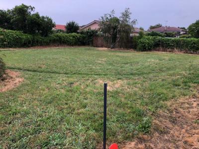 Annonce Vente 4 pi�ces Maison Teich 33