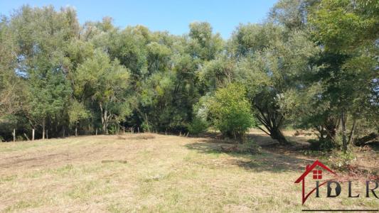 Acheter Maison 148 m2 Delain