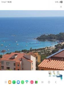 For rent Ajaccio 2 rooms 47 m2 Corse (20000) photo 0