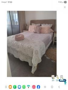 Louer Appartement Ajaccio 1095 euros