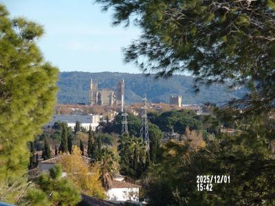 For sale Narbonne 626 m2 Aude (11100) photo 0