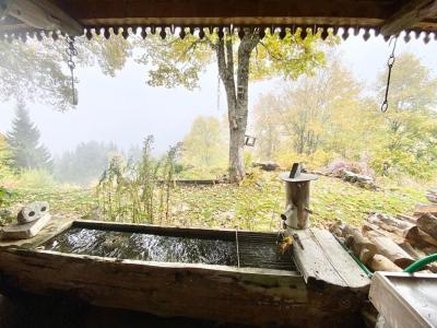 Acheter Maison 376 m2 Morzine