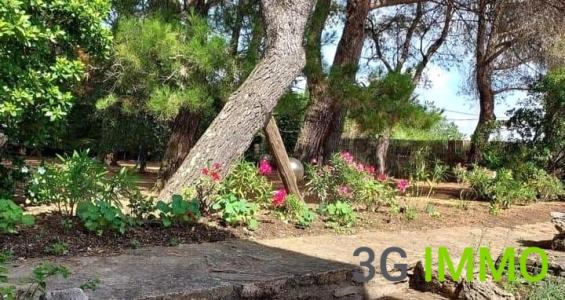 Acheter Maison 187 m2 Laurens