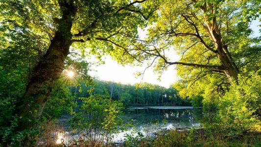 Annonce Vente Programme neuf Orgerus 78