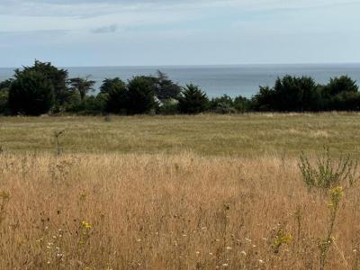 Acheter Terrain Binic 42000 euros