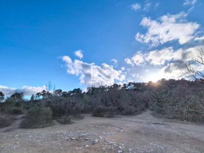 Acheter Terrain Callian