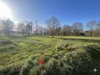 For sale Saint-nauphary 2577 m2 Tarn et garonne (82370) photo 1