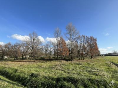 For sale Saint-nauphary 1408 m2 Tarn et garonne (82370) photo 1