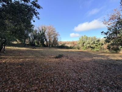 Annonce Vente Terrain  30