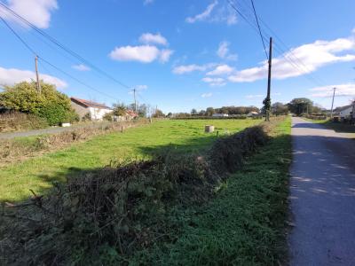 Annonce Vente Terrain  03