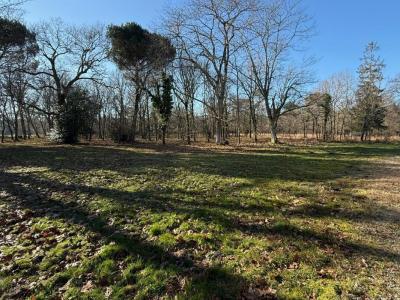 Louer Maison Barp Gironde