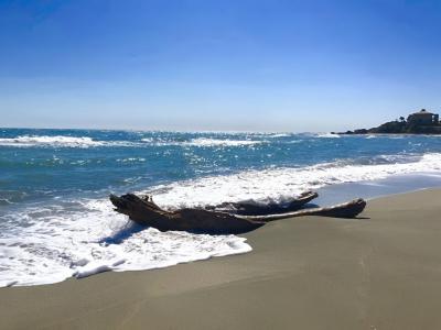 For sale Linguizzetta 3 rooms 45 m2 Corse (20230) photo 0