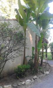 Acheter Prestige Albi Tarn