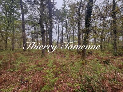 For sale Barbaste 32767 m2 Lot et garonne (47230) photo 0