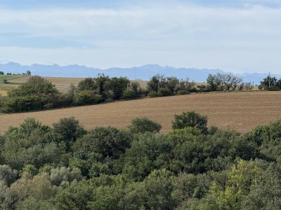 Acheter Maison Lagarde 330000 euros