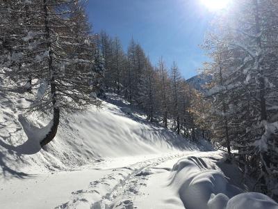 Acheter Appartement 25 m2 Isola