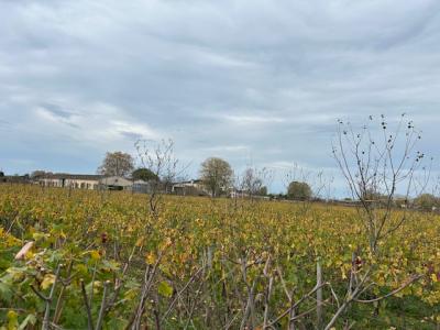 For sale Libourne 286 m2 Gironde (33500) photo 1