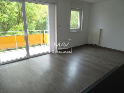 For rent Saint-andre-lez-lille 2 rooms 43 m2 Nord (59350) photo 0