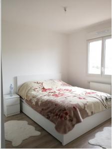 Louer Maison Saint-jean Haute garonne