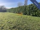 For sale Land Thors 1193 m2