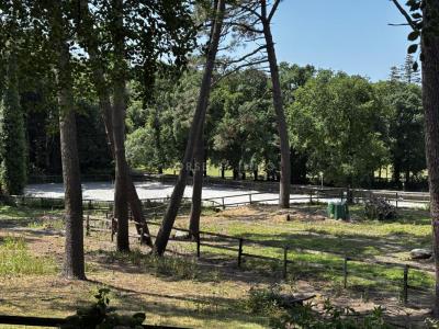 Acheter Maison Ploemeur 840000 euros