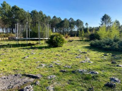 Annonce Vente 4 pi�ces Maison Saint-julien-en-born 40