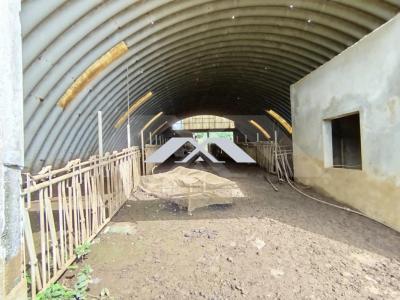 Annonce Vente Terrain Saint-benoit 974