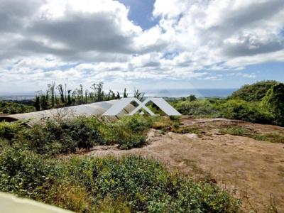 Acheter Terrain 32767 m2 Saint-benoit