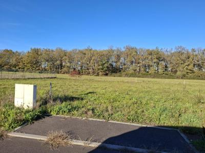 For sale Cazeres-sur-l'adour 834 m2 Landes (40270) photo 0