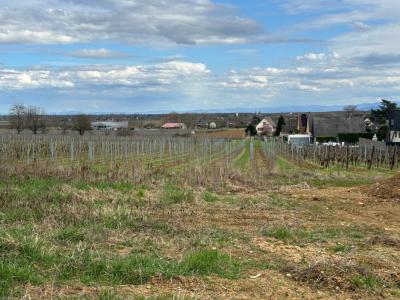 For sale Beblenheim 97 m2 Haut rhin (68980) photo 1