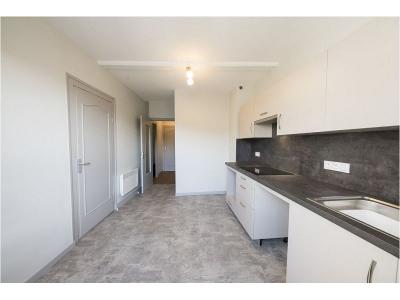 Annonce Location 2 pi�ces Appartement Boen 42