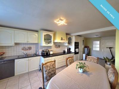 Acheter Maison 170 m2 Ungersheim