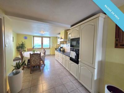 Acheter Maison Ungersheim Haut rhin