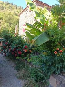 For sale Saint-andre-de-valborgne 10 rooms 162 m2 Gard (30940) photo 1