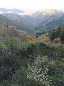 For sale Saint-andre-de-valborgne 10 rooms 162 m2 Gard (30940) photo 2