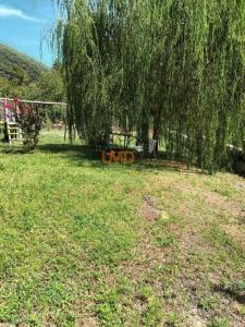 For sale Saint-andre-de-valborgne 10 rooms 162 m2 Gard (30940) photo 3