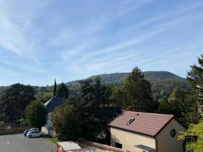 For rent Fontaines-sur-saone 2 rooms 25 m2 Rhone (69270) photo 0