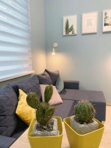 For rent Paris-18eme-arrondissement 1 room 15 m2 Paris (75018) photo 0